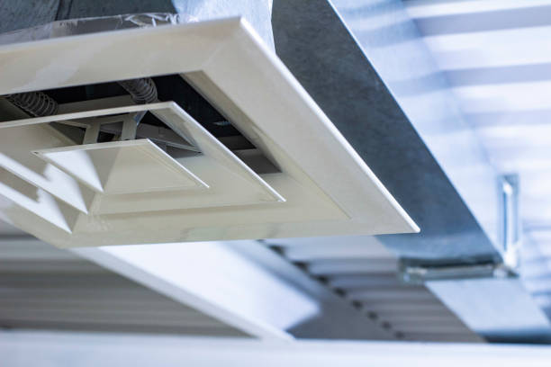 Best Air Vent Cleaning Services  in Susanville, CA
